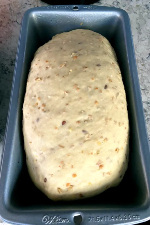 homemade multigrain bread dough rising 