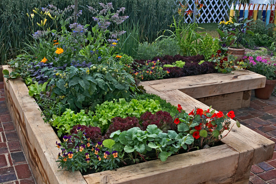 Patio Vegetable Garden With Planters, Patio Vegetable Garden Designs