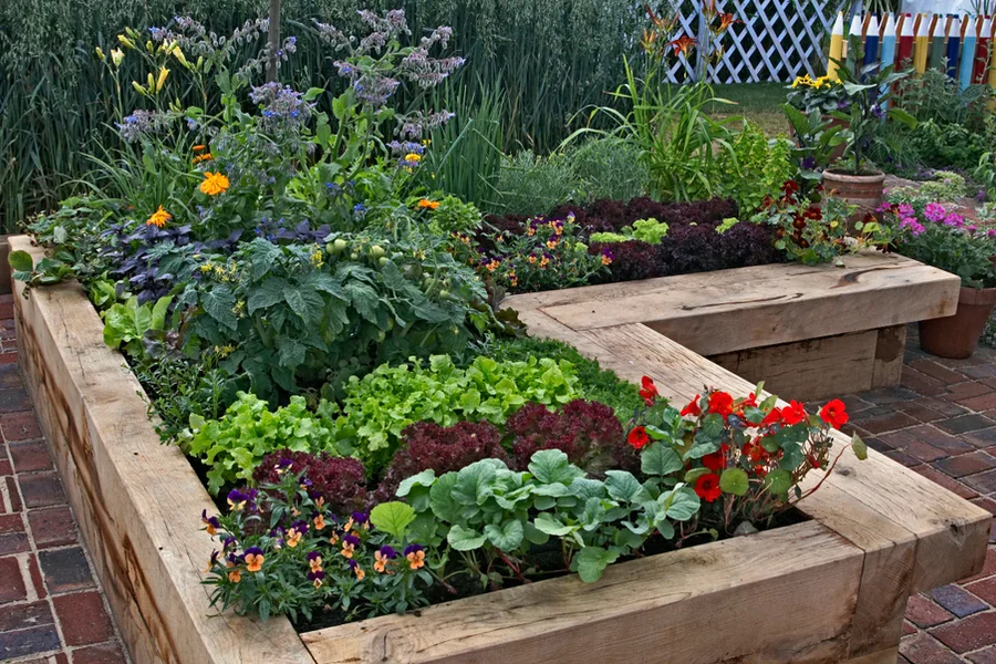 patio vegetable garden