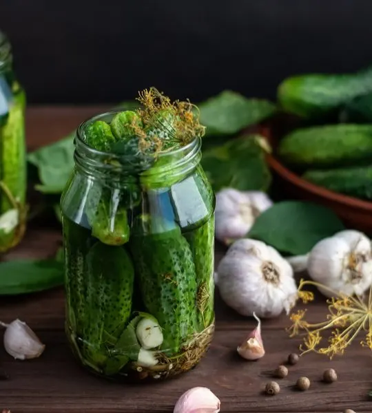 best cucumber plant for making pickles
