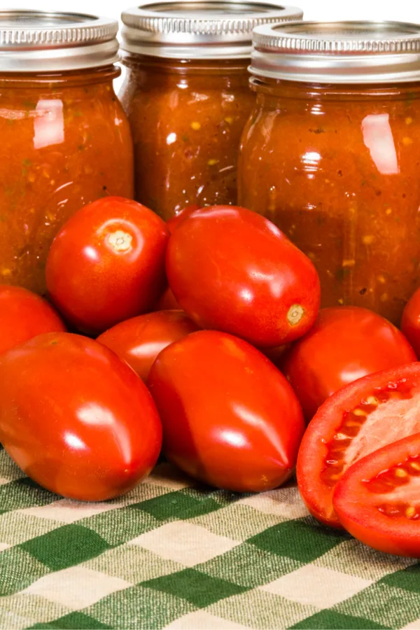 indeterminate canning tomatoes