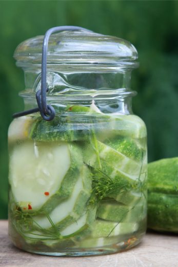 The Best Cucumber Plant For Making Pickles Ever - And How To Grow It!