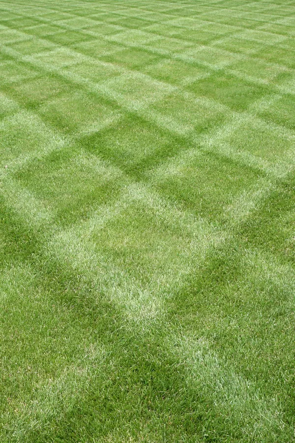 stripe a lawn like a pro