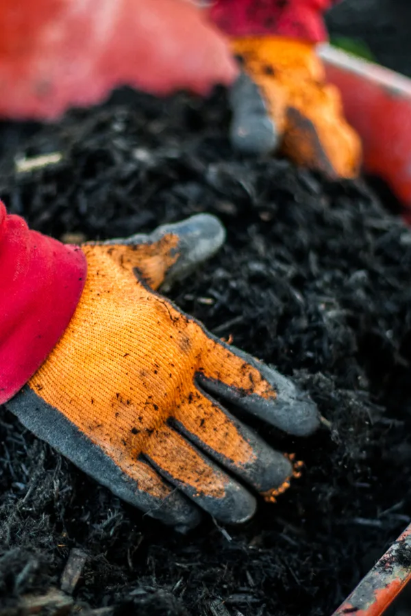 weed free flowerbeds