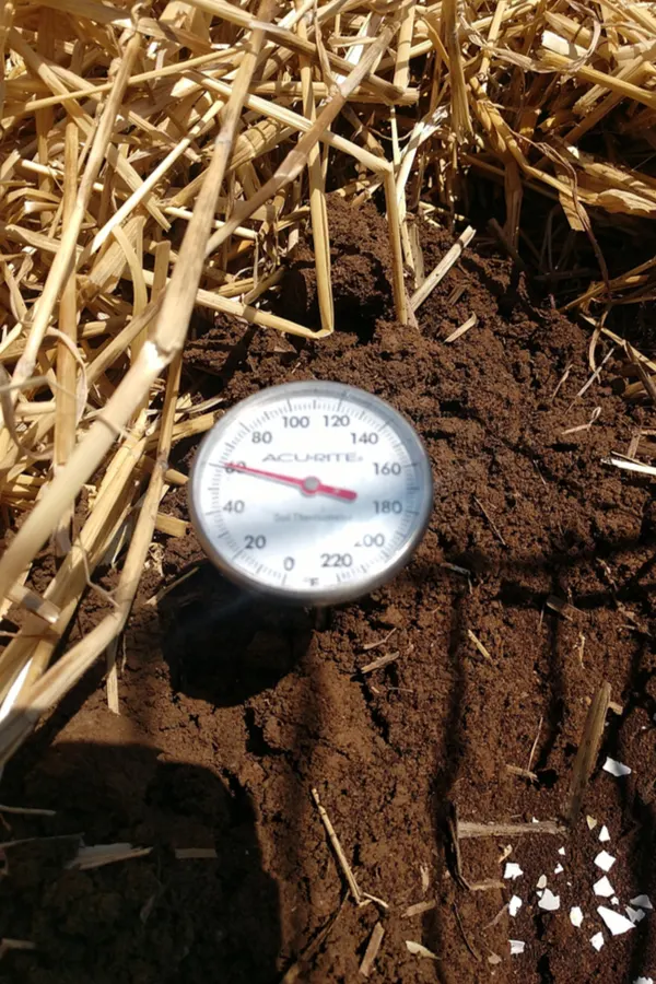 soil thermometer