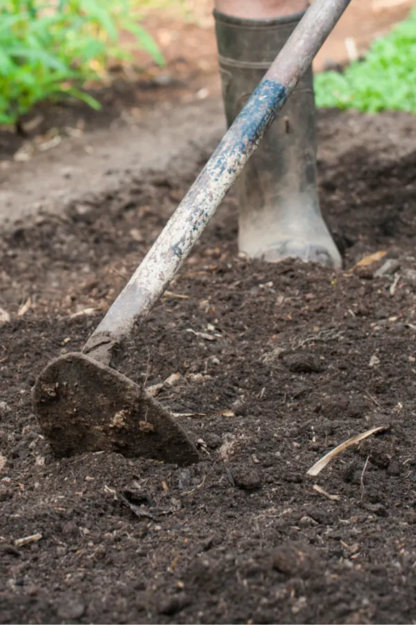 adding compost to your garden