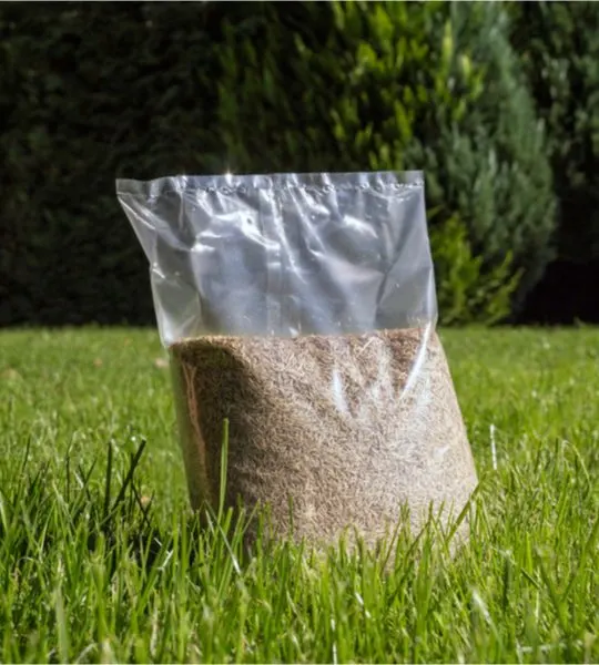 how to get grass seed to grow