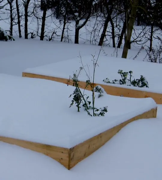 protecting raised beds for winter