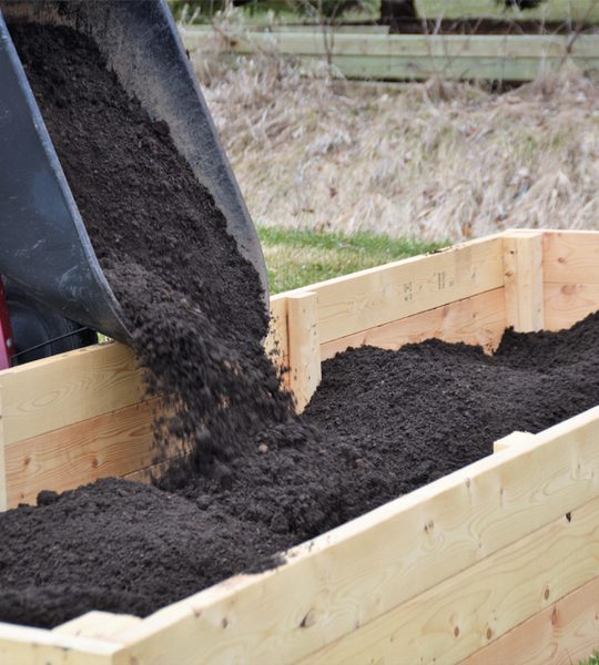 filling raised beds