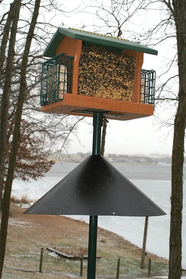 bird feeder baffle - squirrels