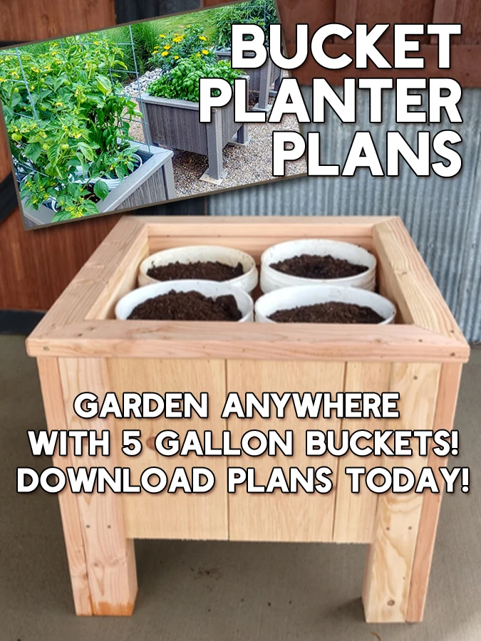 bucket planter ad