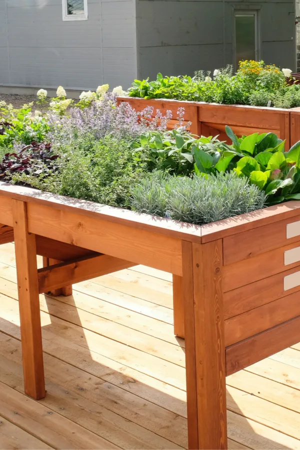 raised bed boxes - bucket planter gardening