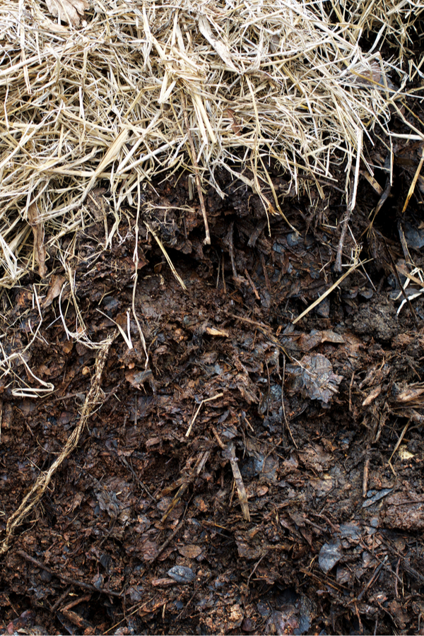 compost - soil - straw - leaf mix