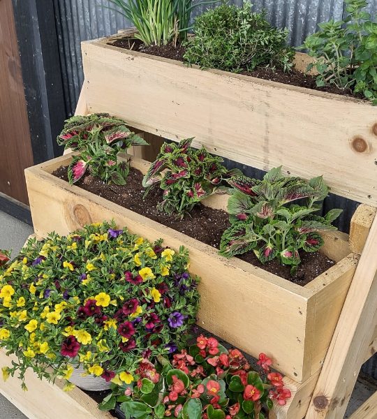 3 tier planter box