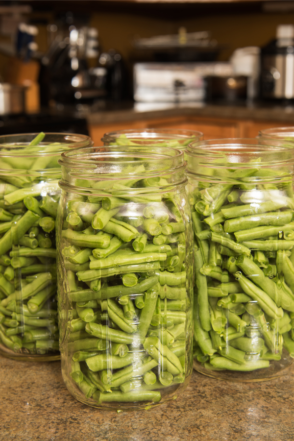 canning grean beans from the garden