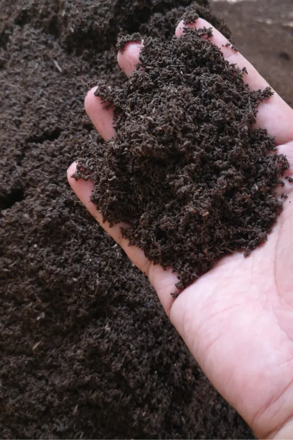 pure worm castings - fertilizer