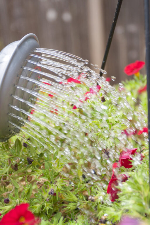 How To Keep Hanging Baskets Blooming All Summer 3 Simple Secrets!
