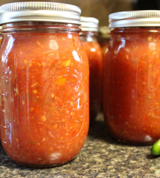 mild salsa in mason jars