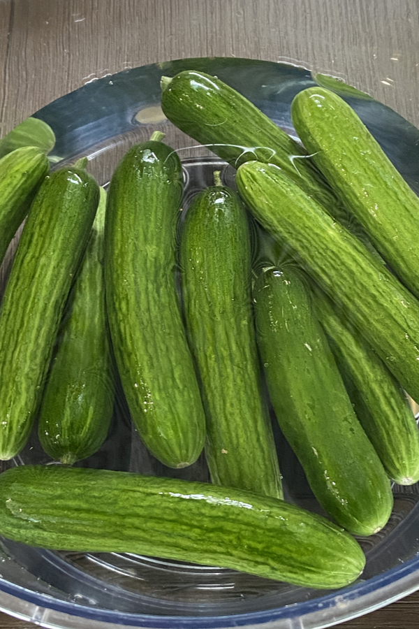 soaking cucumbers in water