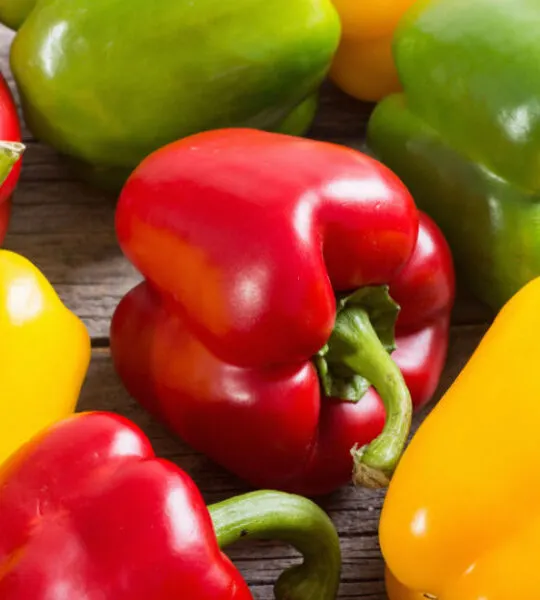 when to pick peppers