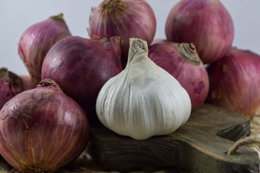 Can Garlic Plant and Onion Be Twins? Unveiling the Truth