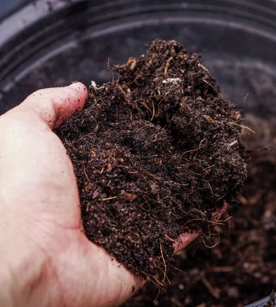 reuse old potting soil