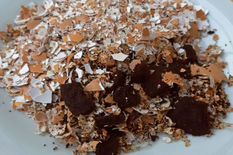 save and store coffee grounds