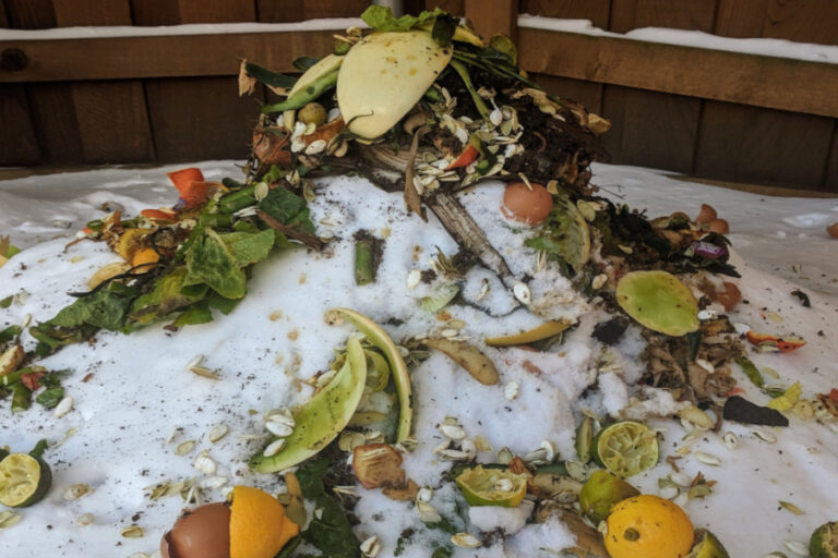 winter composting