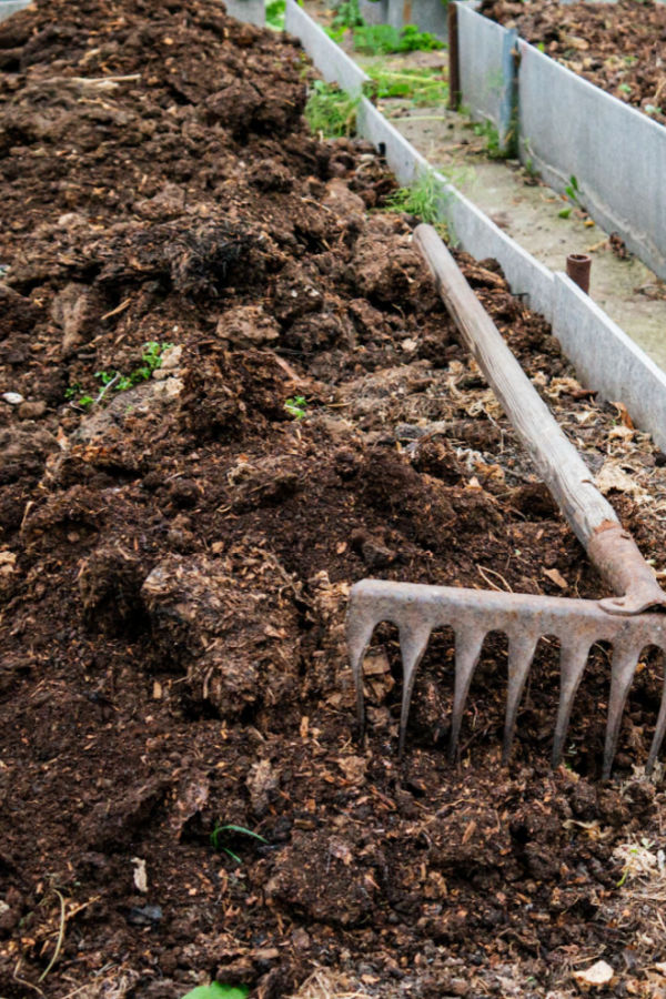 adding compost - re-energizing raised bed soil
