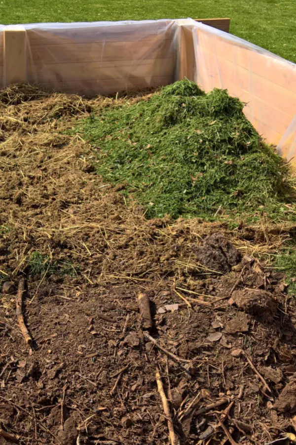 adding grass clippings and shredded leaves