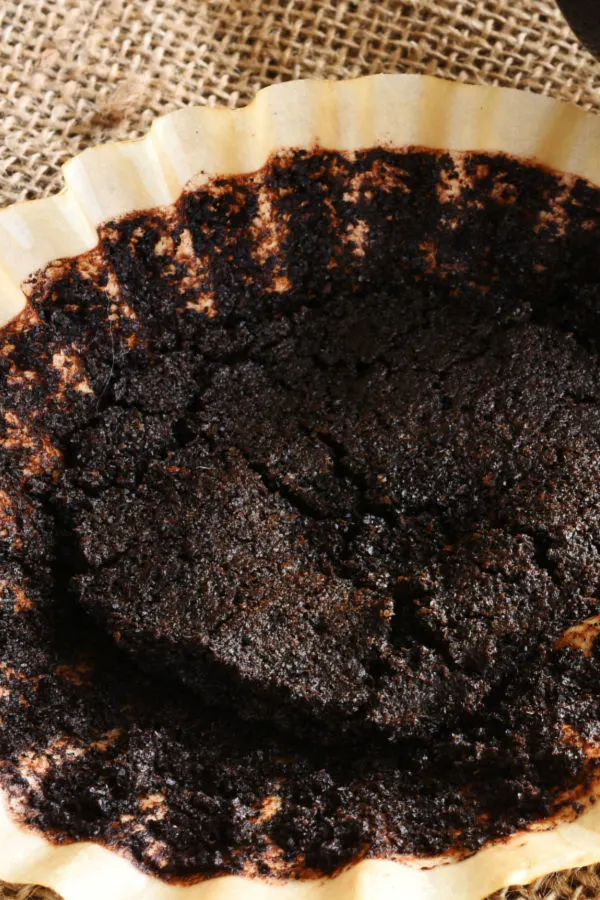 wet coffee grounds