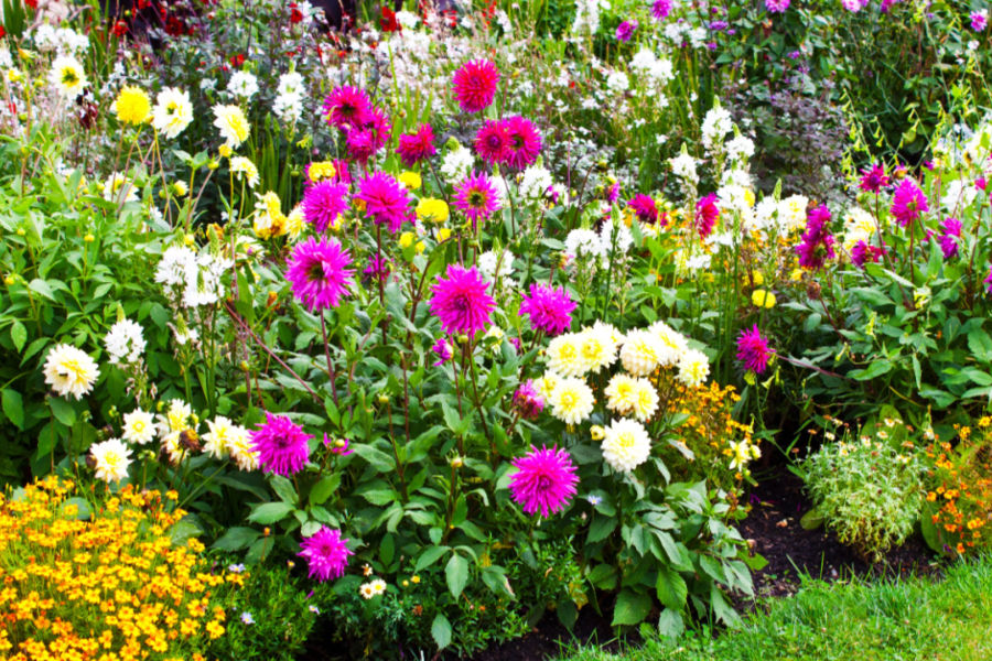 keep weeds out of flowerbeds