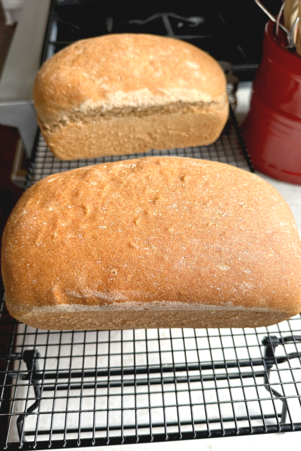wheat bread loaves on cooling rack