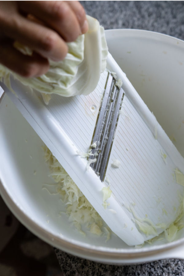 mandoline slicer slicing cabbage 