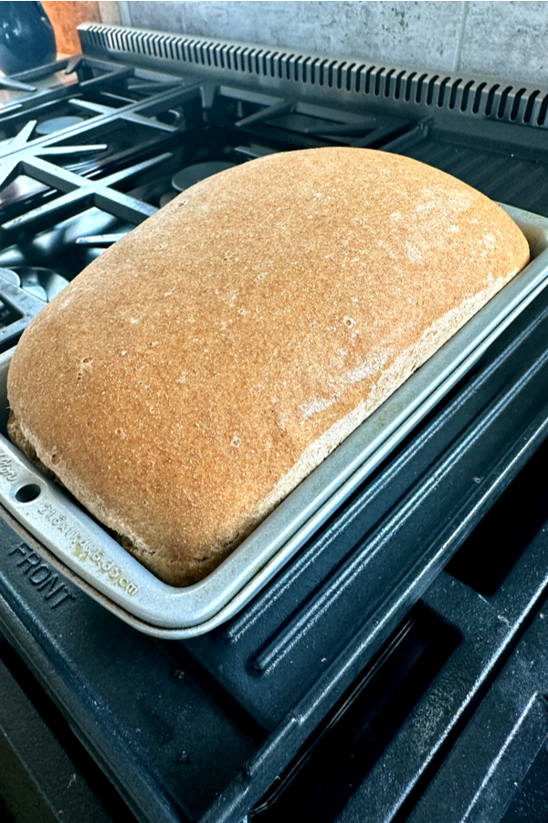 wheat bread baked in loaf pan