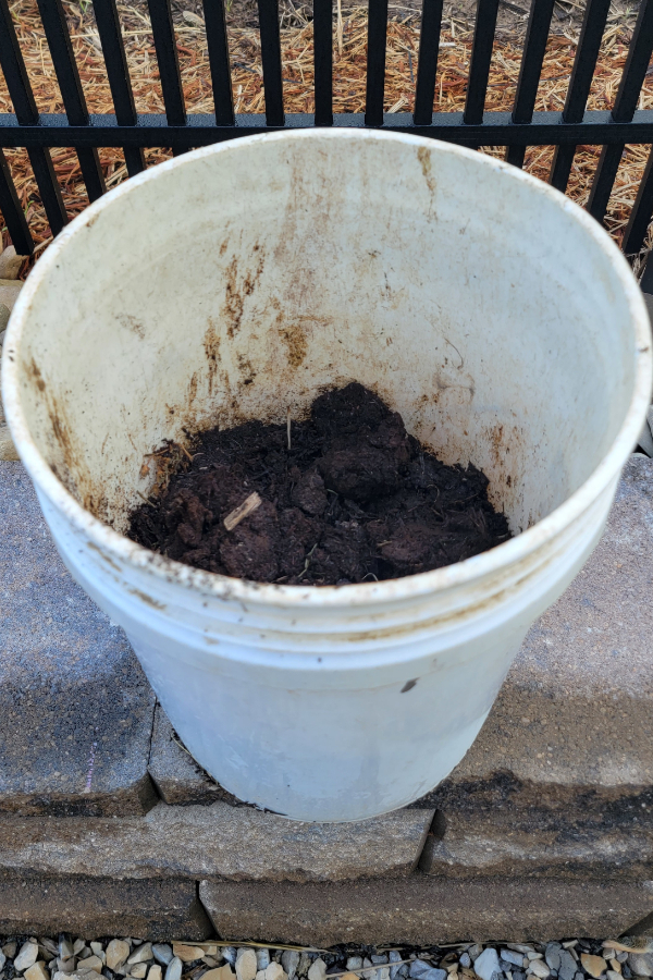 compost in bucket