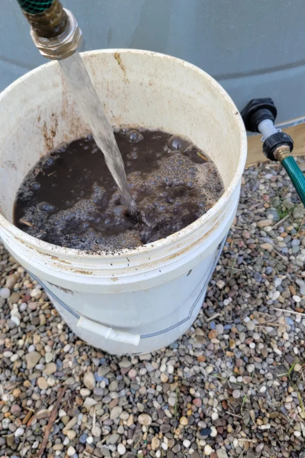 filling the compost tea bucket
