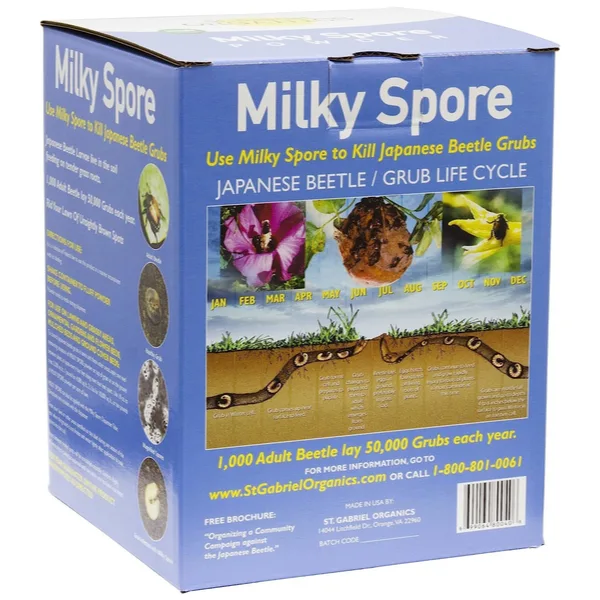 milky spore - control grubs