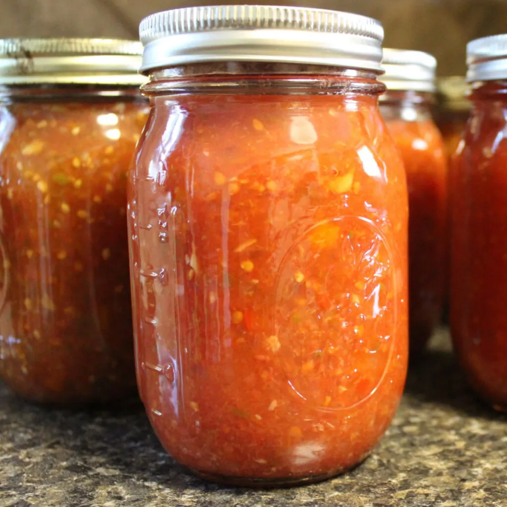 The Greatest Canned Salsa Recipe - Academy-Garden Blog