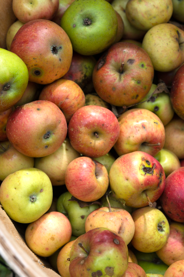 How to Store Apples Long Term and Short Term