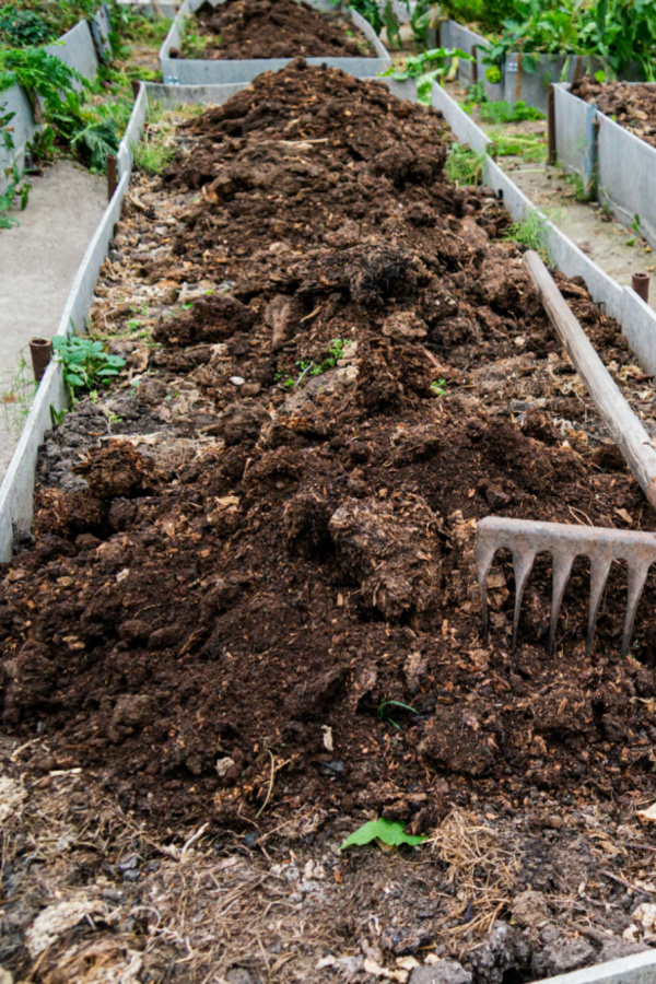 compost in raised beds