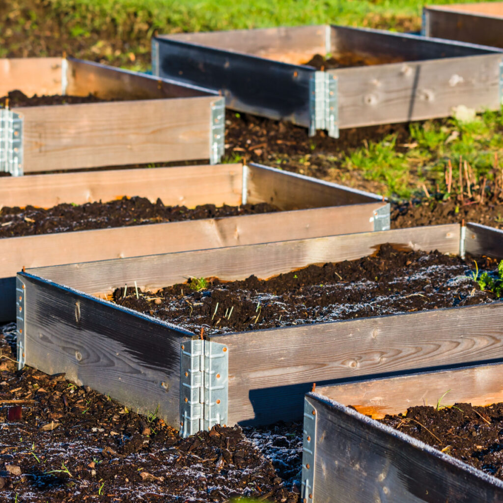 recharge raised beds in the fall