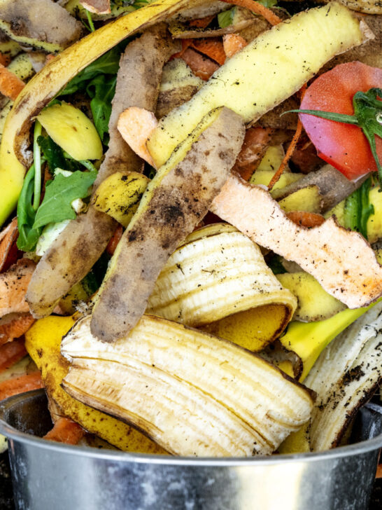 make compost in the winter