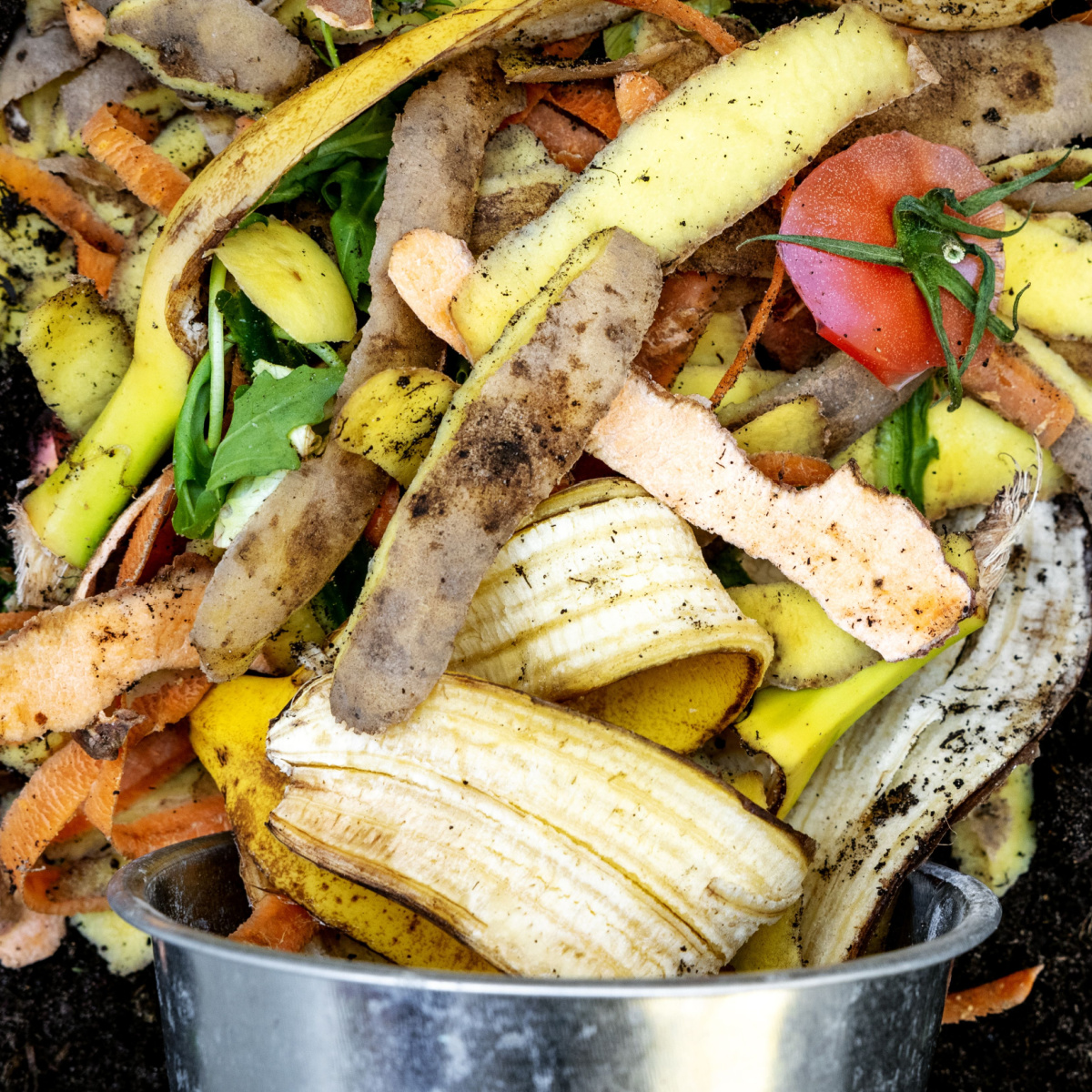 5 Tips For Kitchen Composting - Hobby Farms