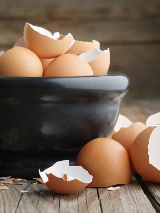 how to save and store egg shells in the winter