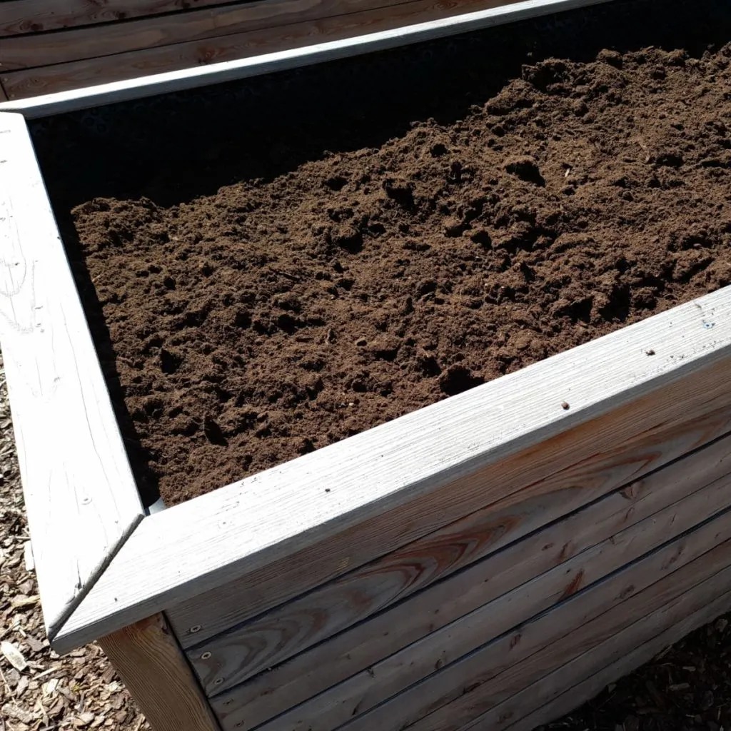 soil in raised beds