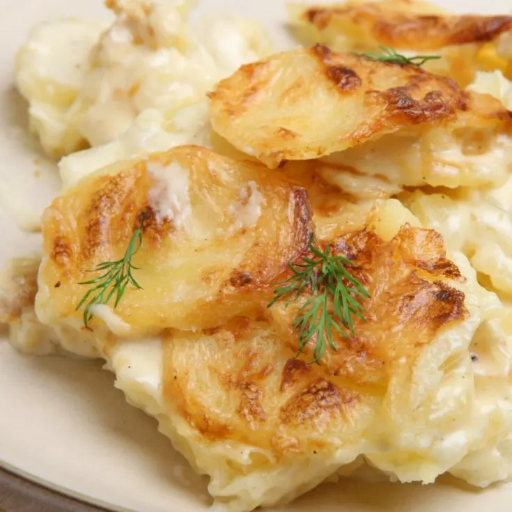 easy scalloped potatoes recipe