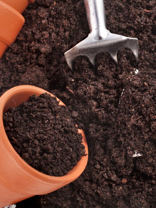 best homemade potting soil