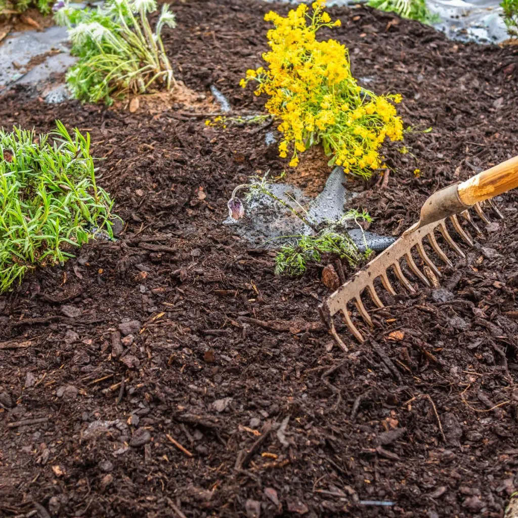 secrets to mulching flowerbeds