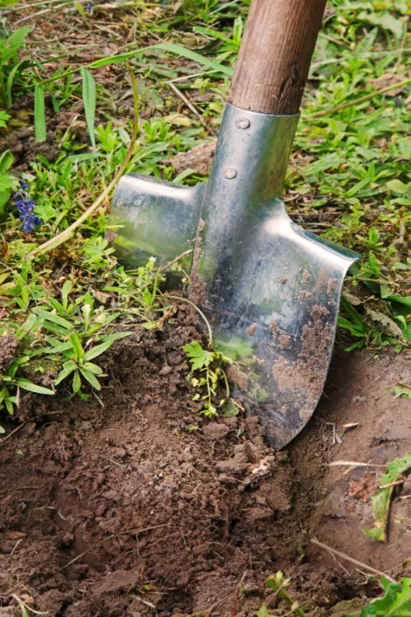 shovel digging hole